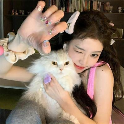东京飞龙儿